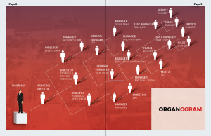 organogram